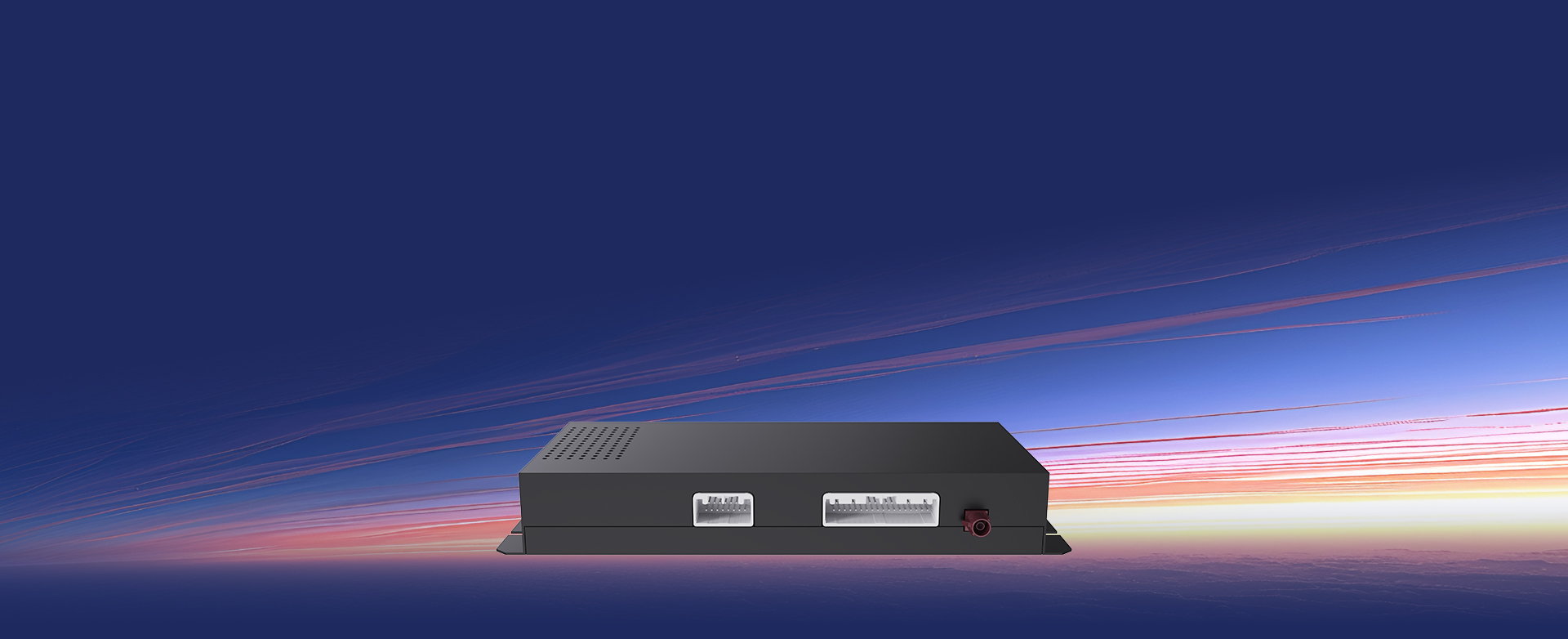 BCV1D